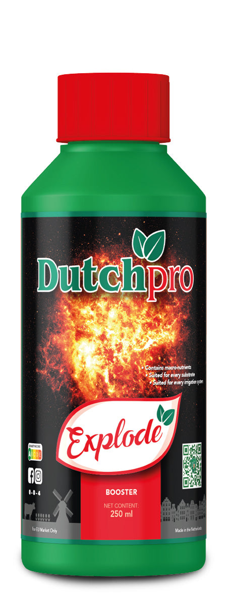 Explode: Bud Booster