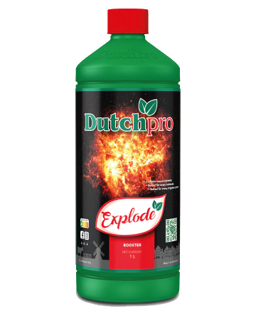 Explode: Bud Booster